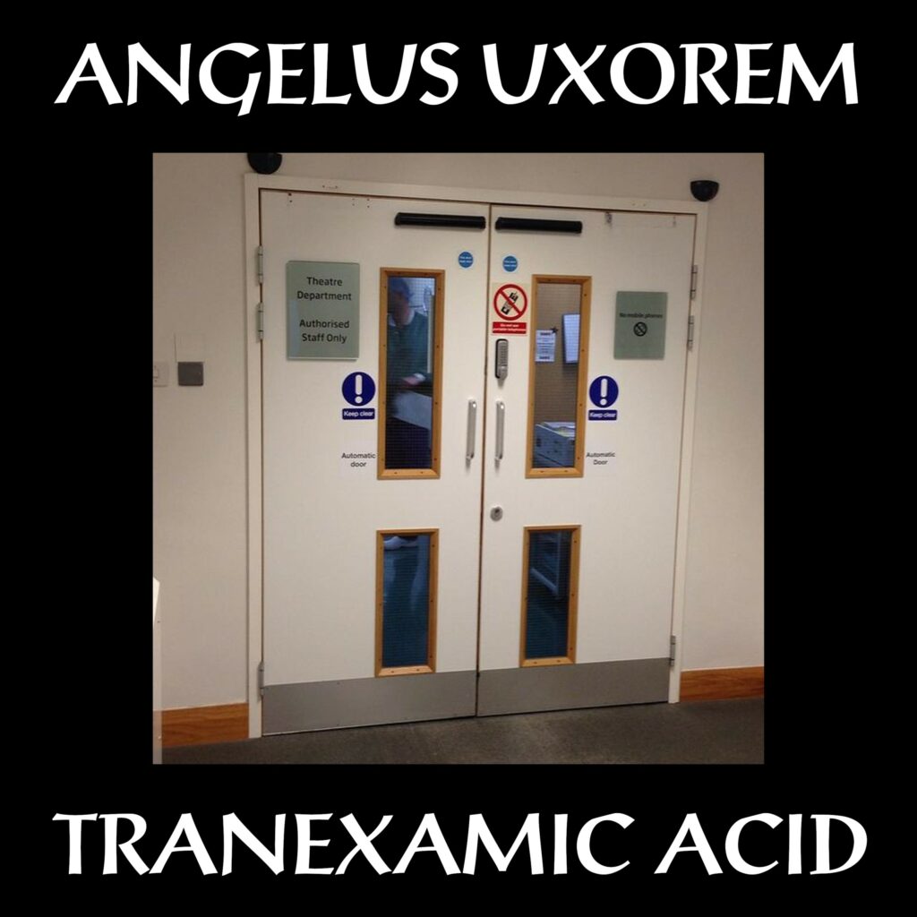 Album cover of the Angelus Uxorem single "Tranexamic Acid"